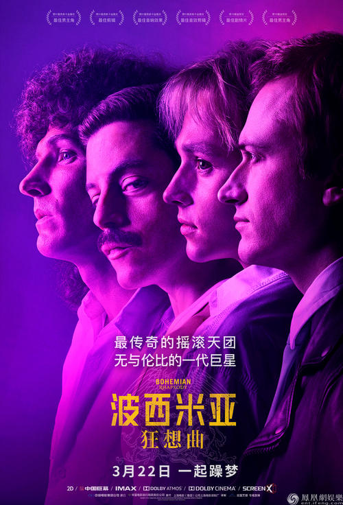 办假的荷兰驾驶证